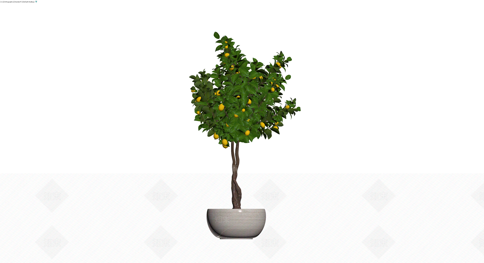 盆栽柠檬树3D模型下载【ID:1230425891】