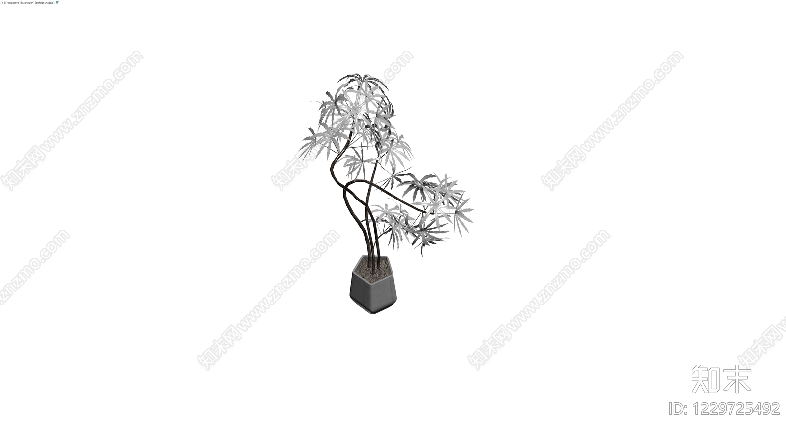 盆栽植物带花盆3D模型下载【ID:1229725492】
