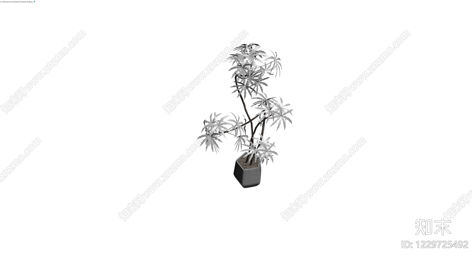 盆栽植物带花盆3D模型下载【ID:1229725492】