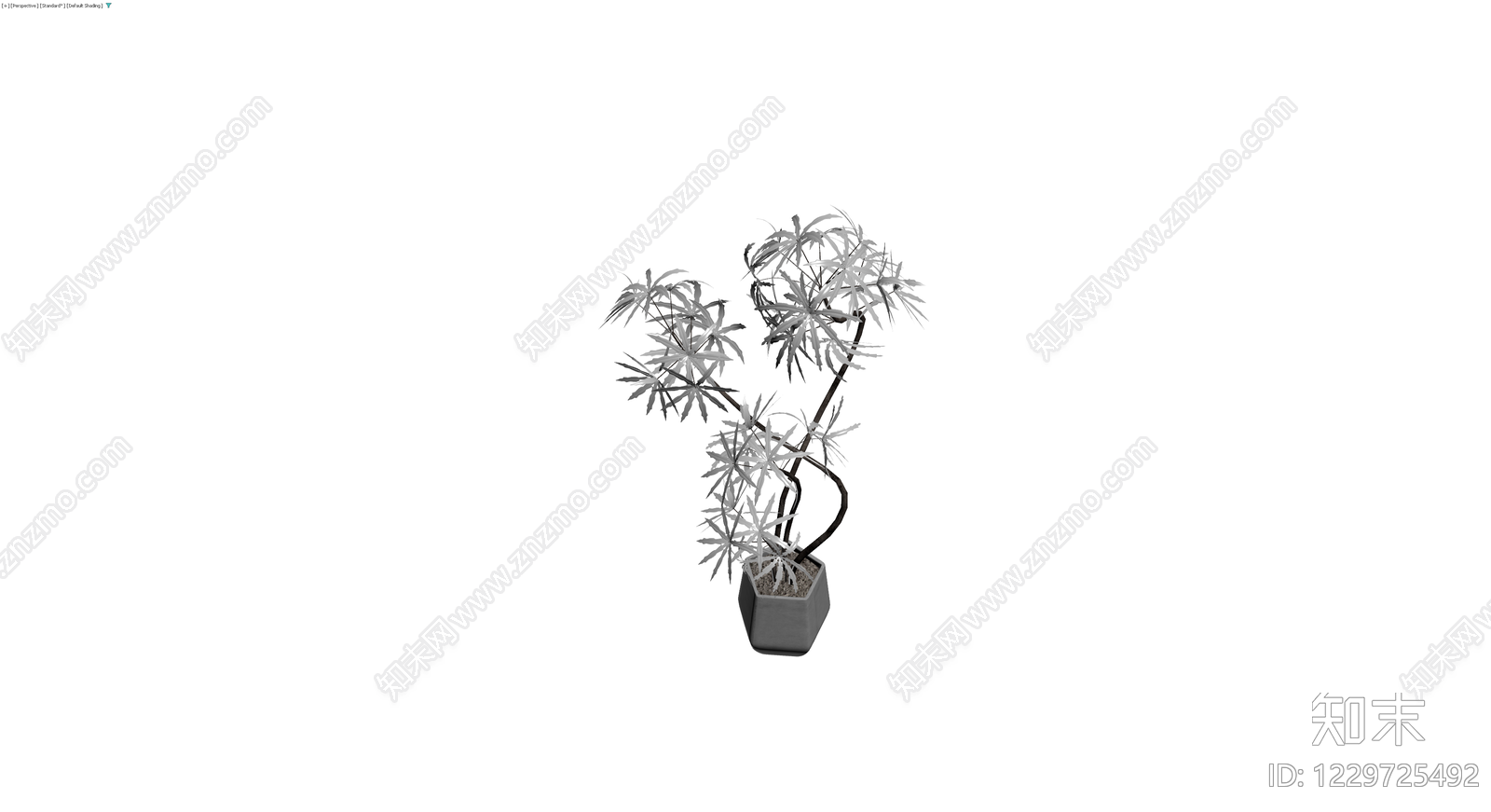 盆栽植物带花盆3D模型下载【ID:1229725492】