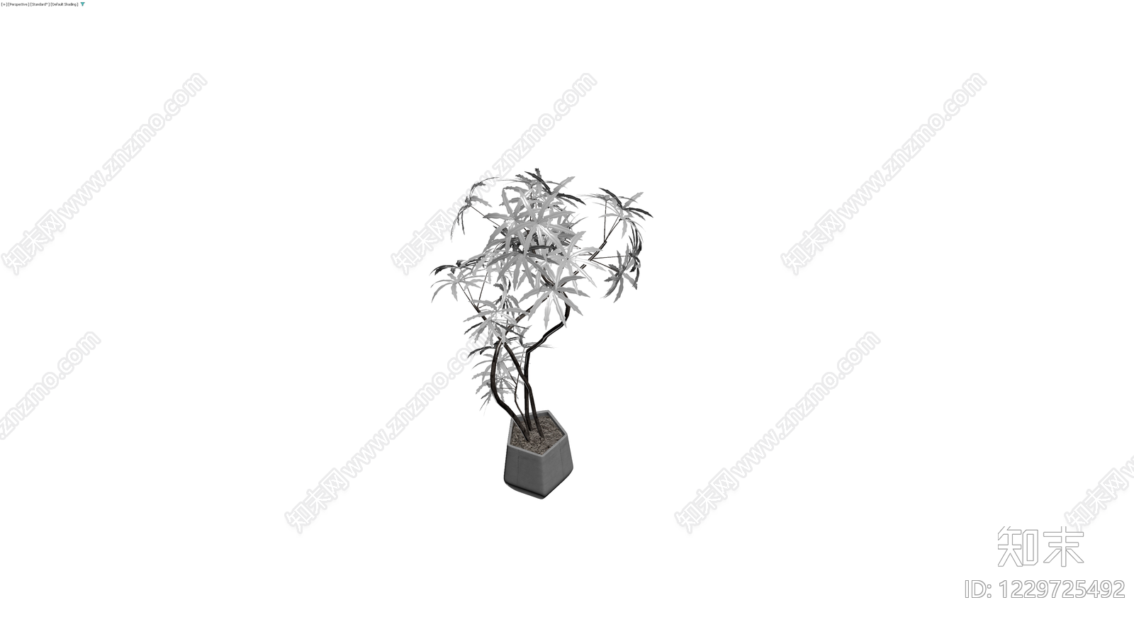 盆栽植物带花盆3D模型下载【ID:1229725492】