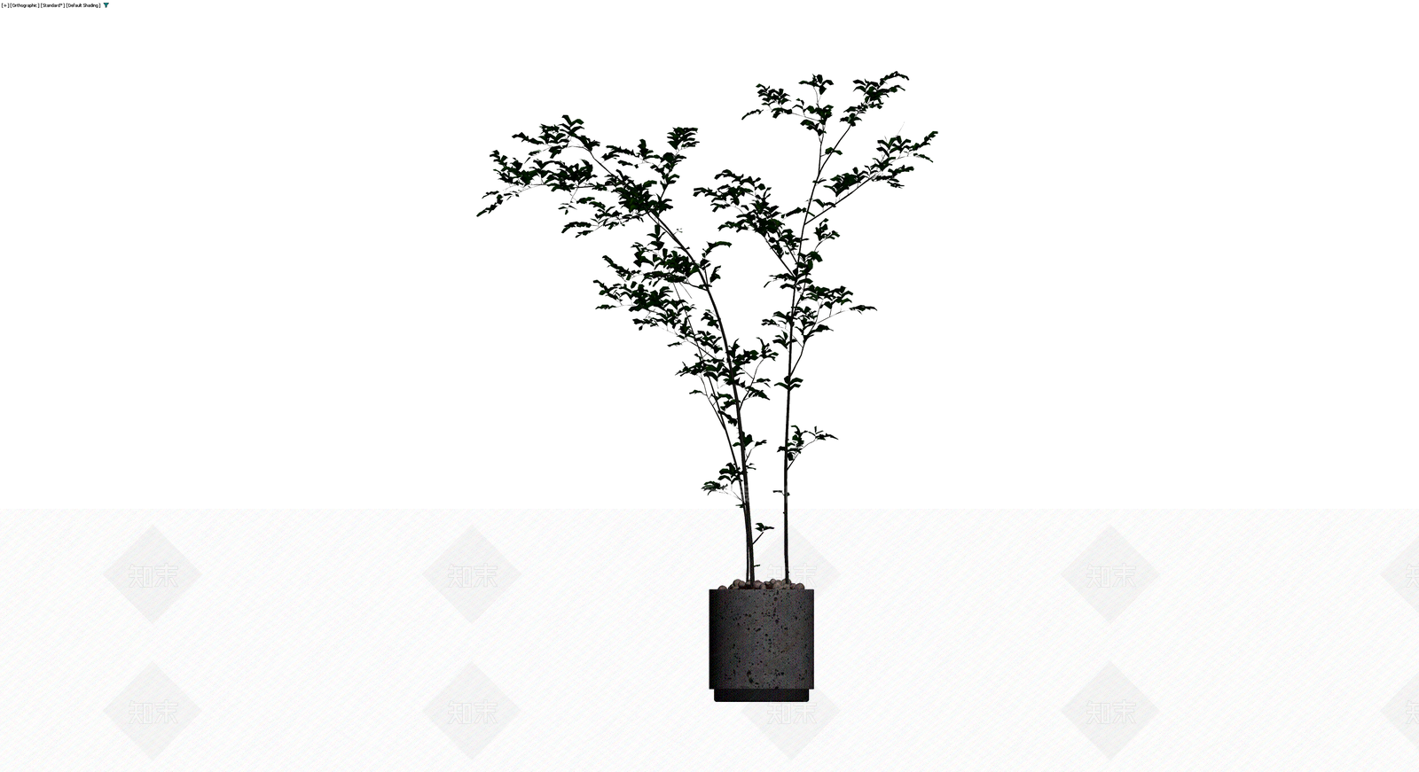 盆栽植物带花盆3D模型下载【ID:1229626996】