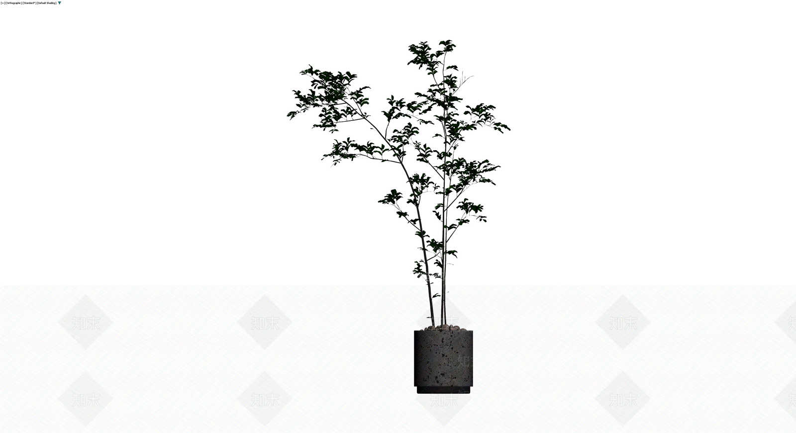 盆栽植物带花盆3D模型下载【ID:1229626996】