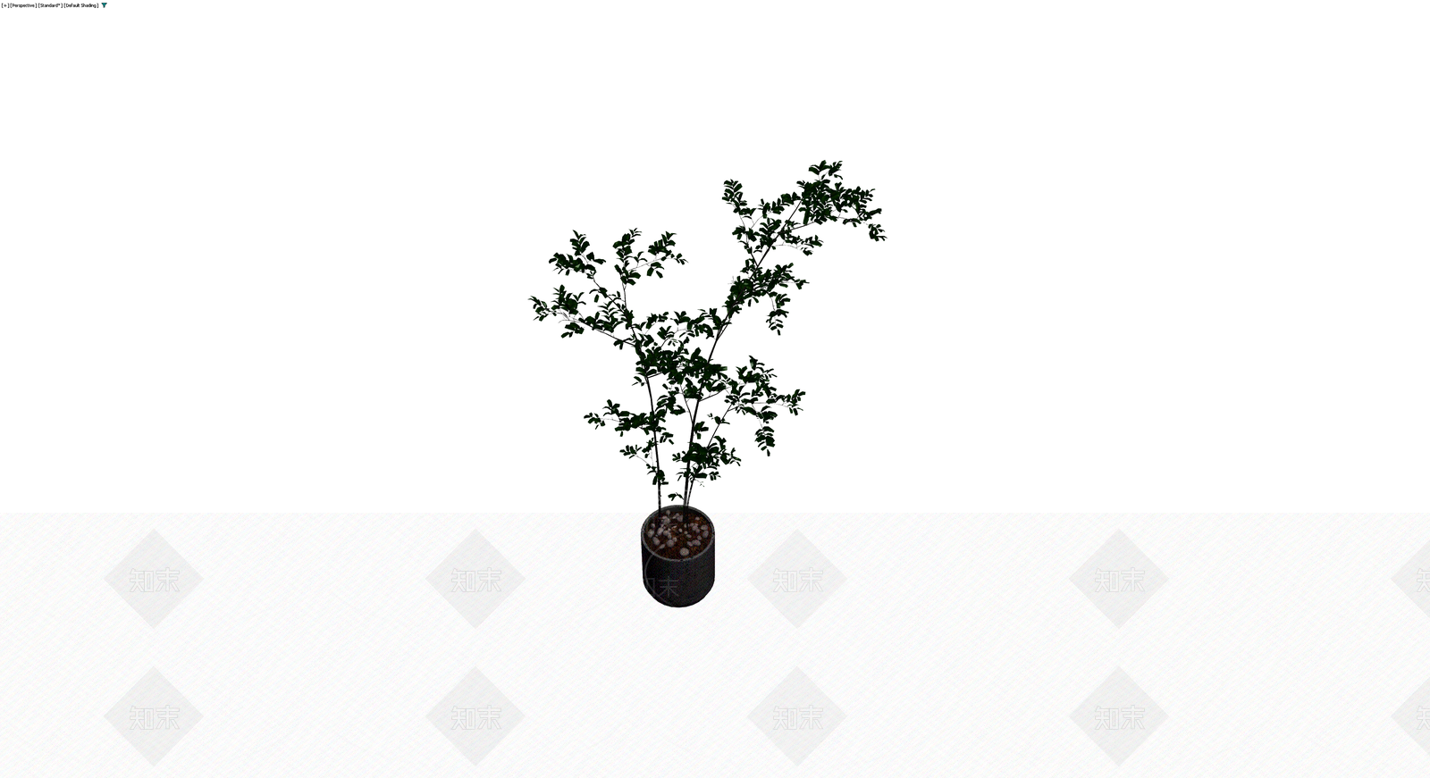 盆栽植物带花盆3D模型下载【ID:1229626996】