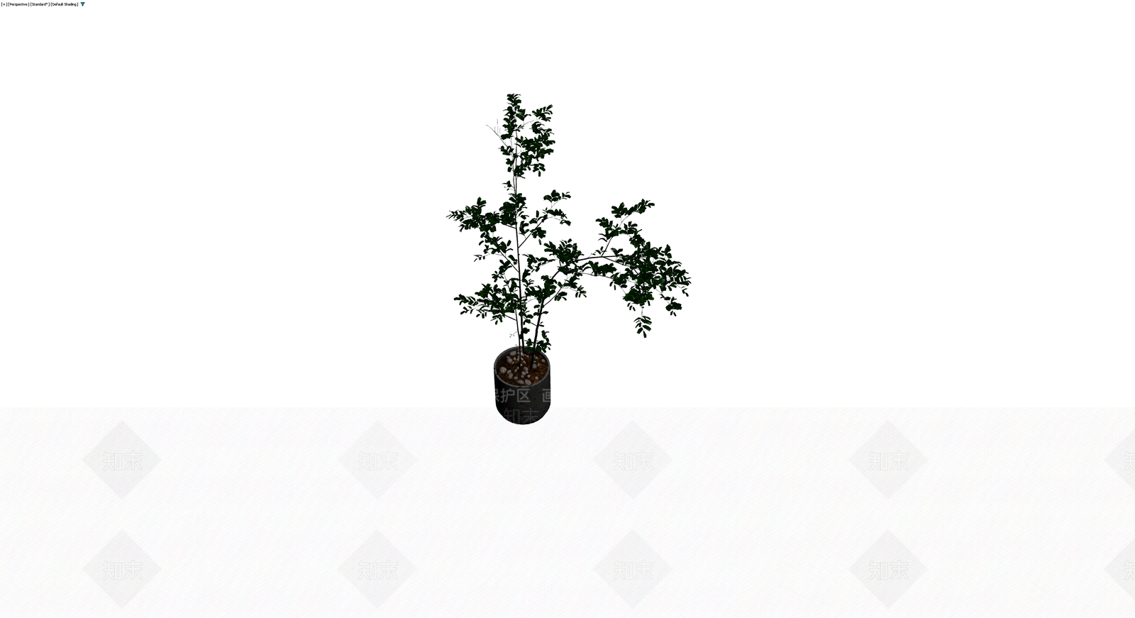 盆栽植物带花盆3D模型下载【ID:1229626996】