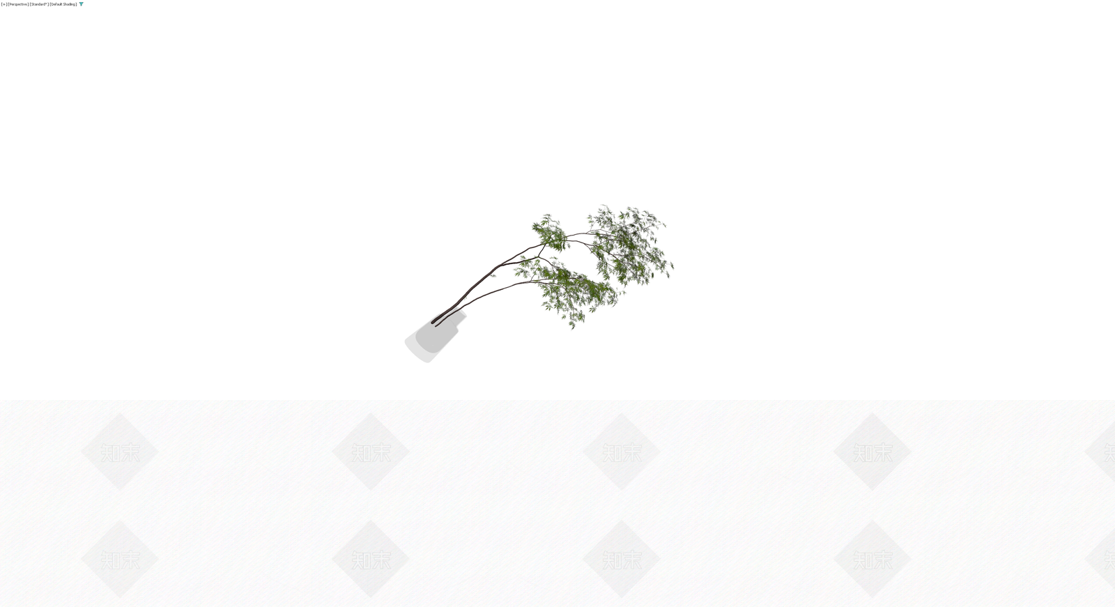 带盆绿色盆栽植物3D模型下载【ID:1230155916】