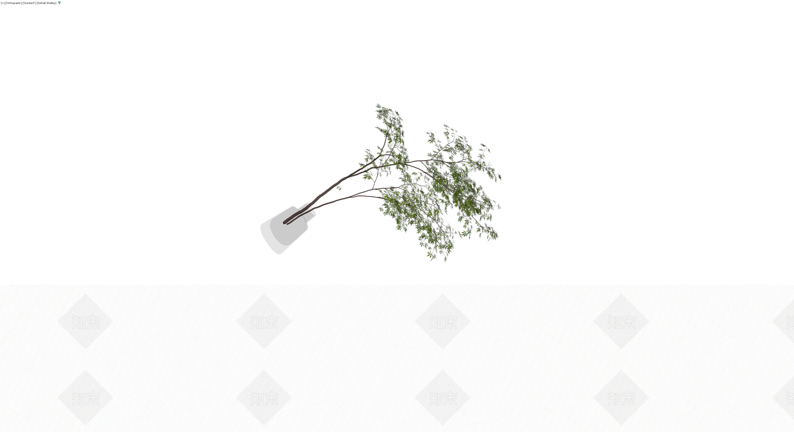 带盆绿色盆栽植物3D模型下载【ID:1230155916】