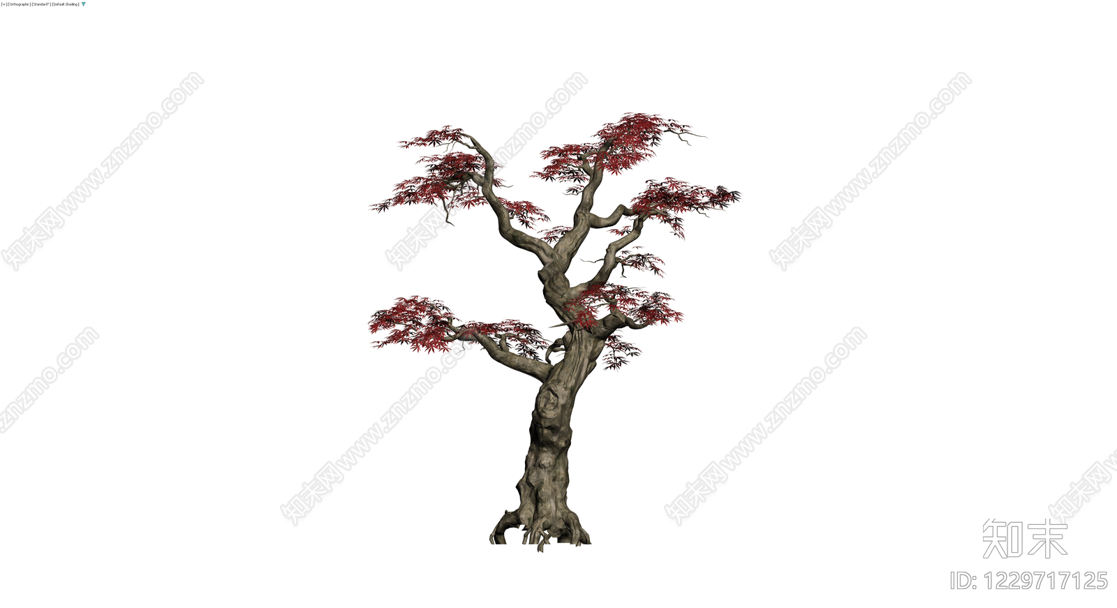 红枫盆景景观树3D模型下载【ID:1229717125】