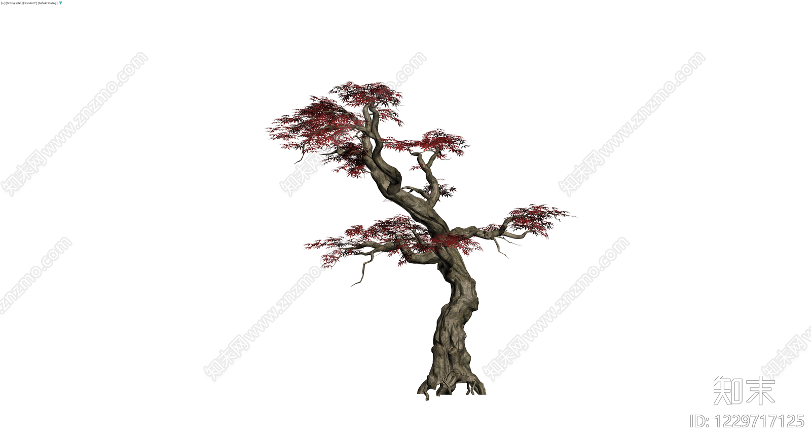 红枫盆景景观树3D模型下载【ID:1229717125】