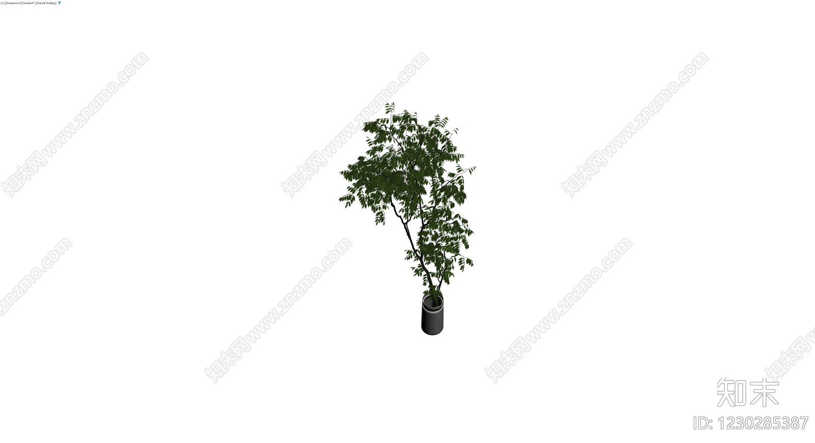 盆栽绿植带盆3D模型下载【ID:1230285387】