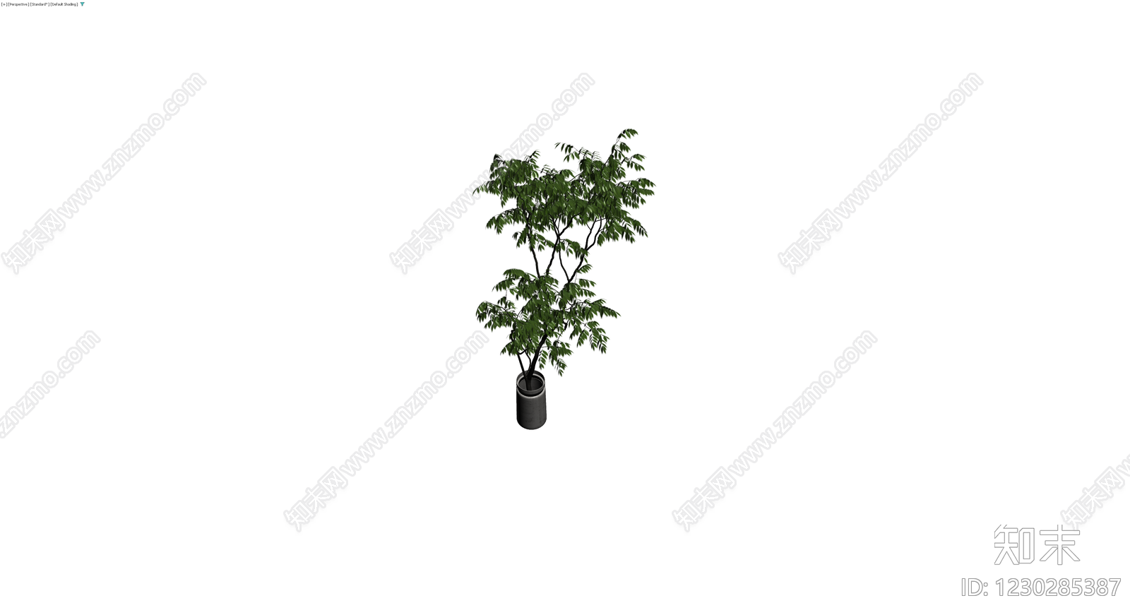 盆栽绿植带盆3D模型下载【ID:1230285387】