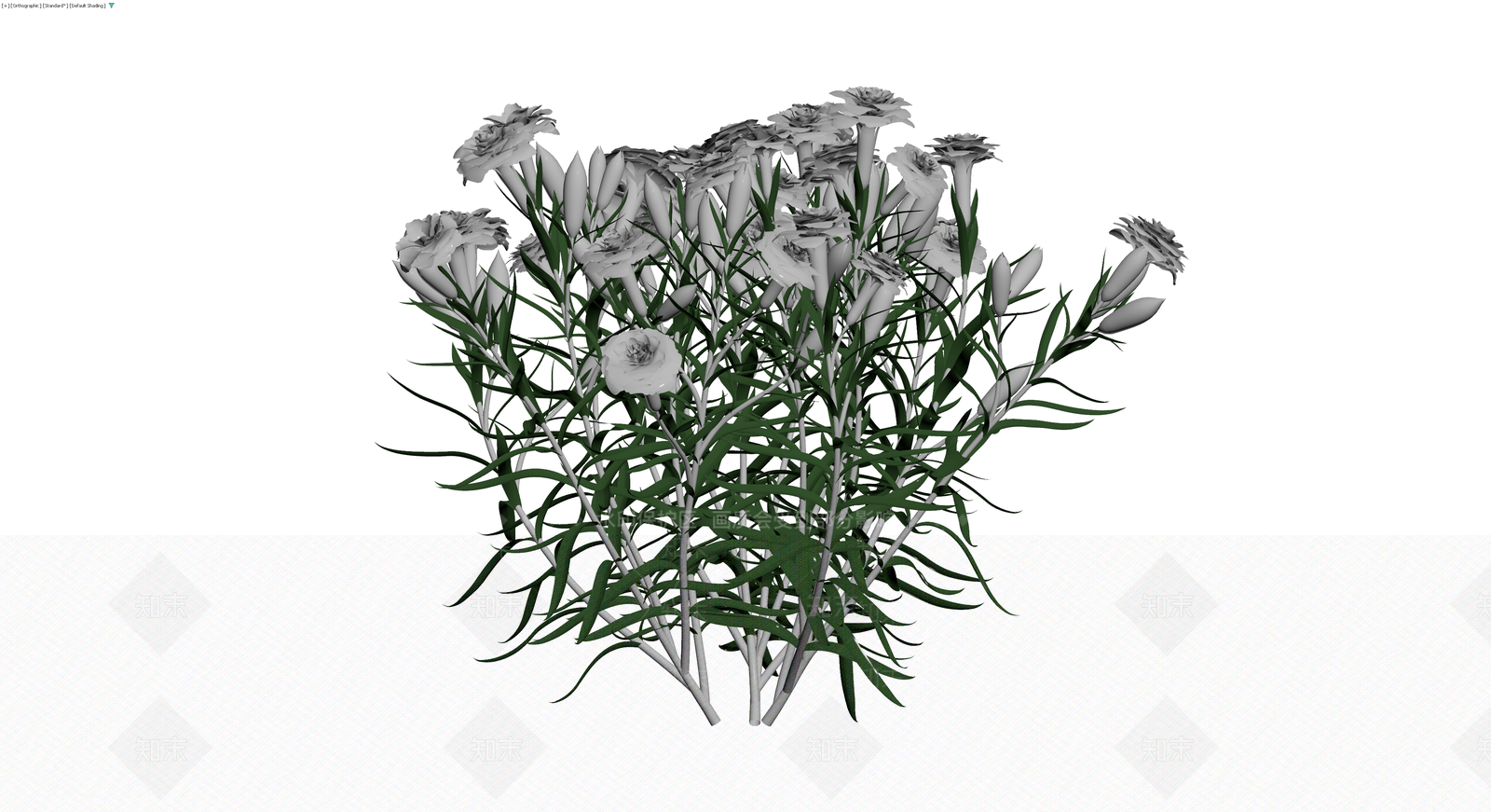 白色康乃馨花丛植物3D模型下载【ID:1230137932】