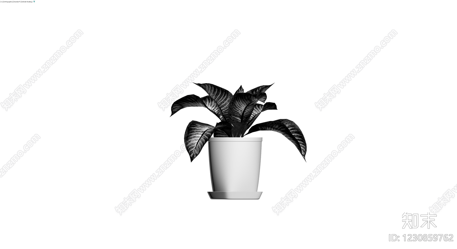 带盆斑马海芋盆栽3D模型下载【ID:1230859762】