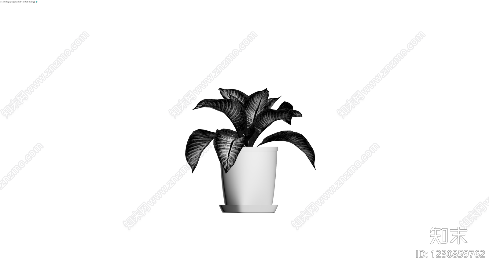 带盆斑马海芋盆栽3D模型下载【ID:1230859762】