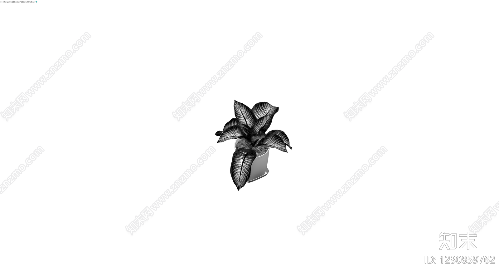 带盆斑马海芋盆栽3D模型下载【ID:1230859762】