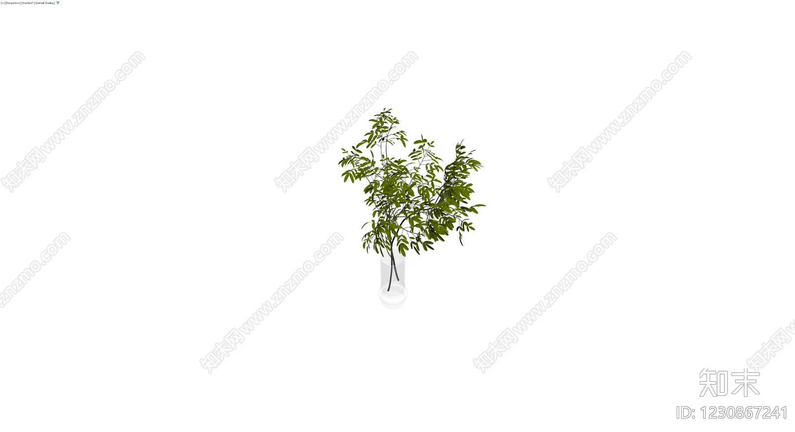 透明花瓶插绿植盆栽3D模型下载【ID:1230867241】