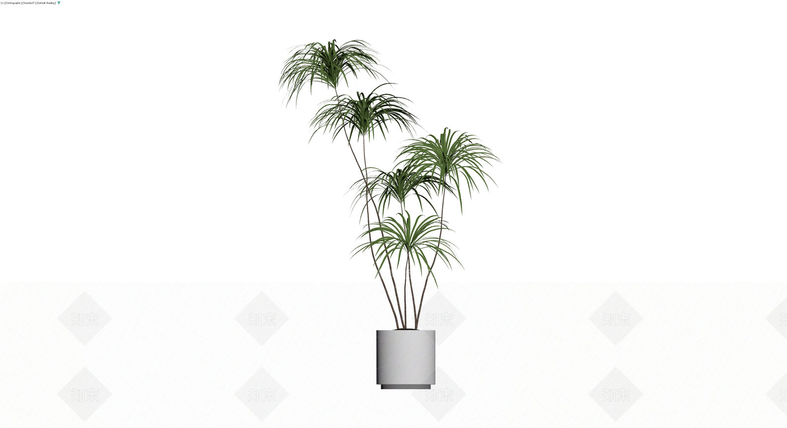 盆栽植物模型3D模型下载【ID:1230625630】