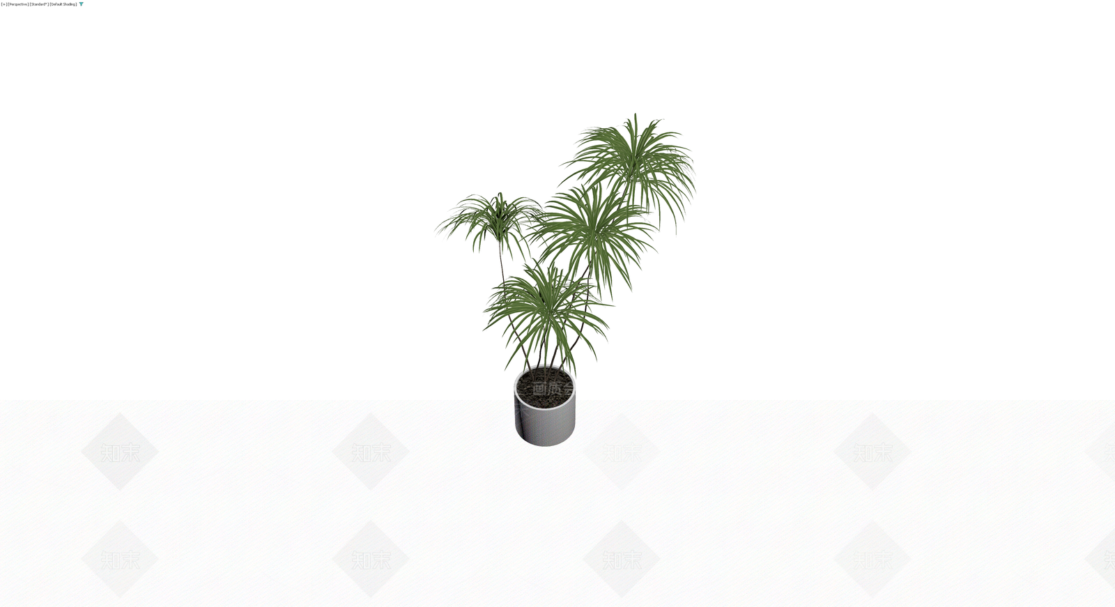 盆栽植物模型3D模型下载【ID:1230625630】