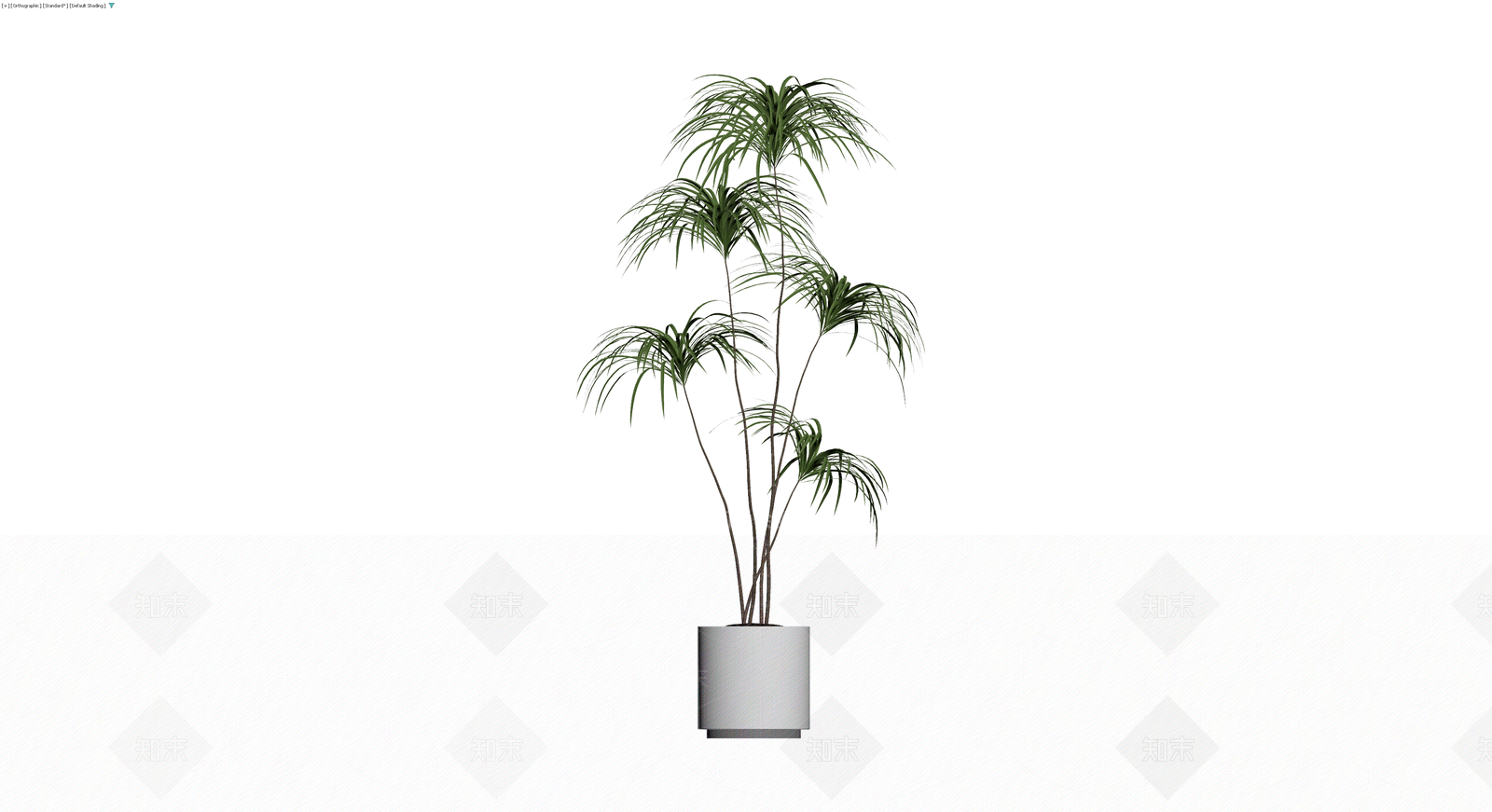 盆栽植物模型3D模型下载【ID:1230625630】