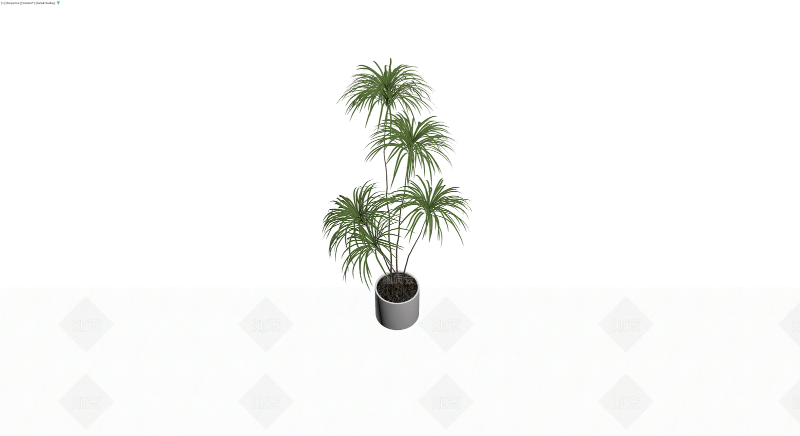 盆栽植物模型3D模型下载【ID:1230625630】
