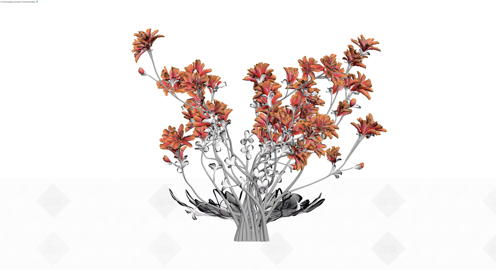 橙红色花卉植物组合3D模型下载【ID:1230534436】