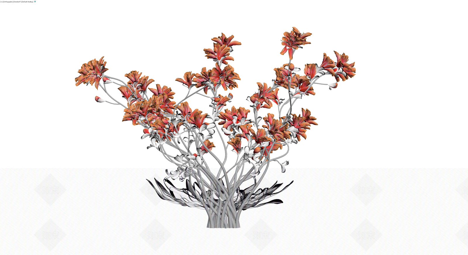 橙红色花卉植物组合3D模型下载【ID:1230534436】