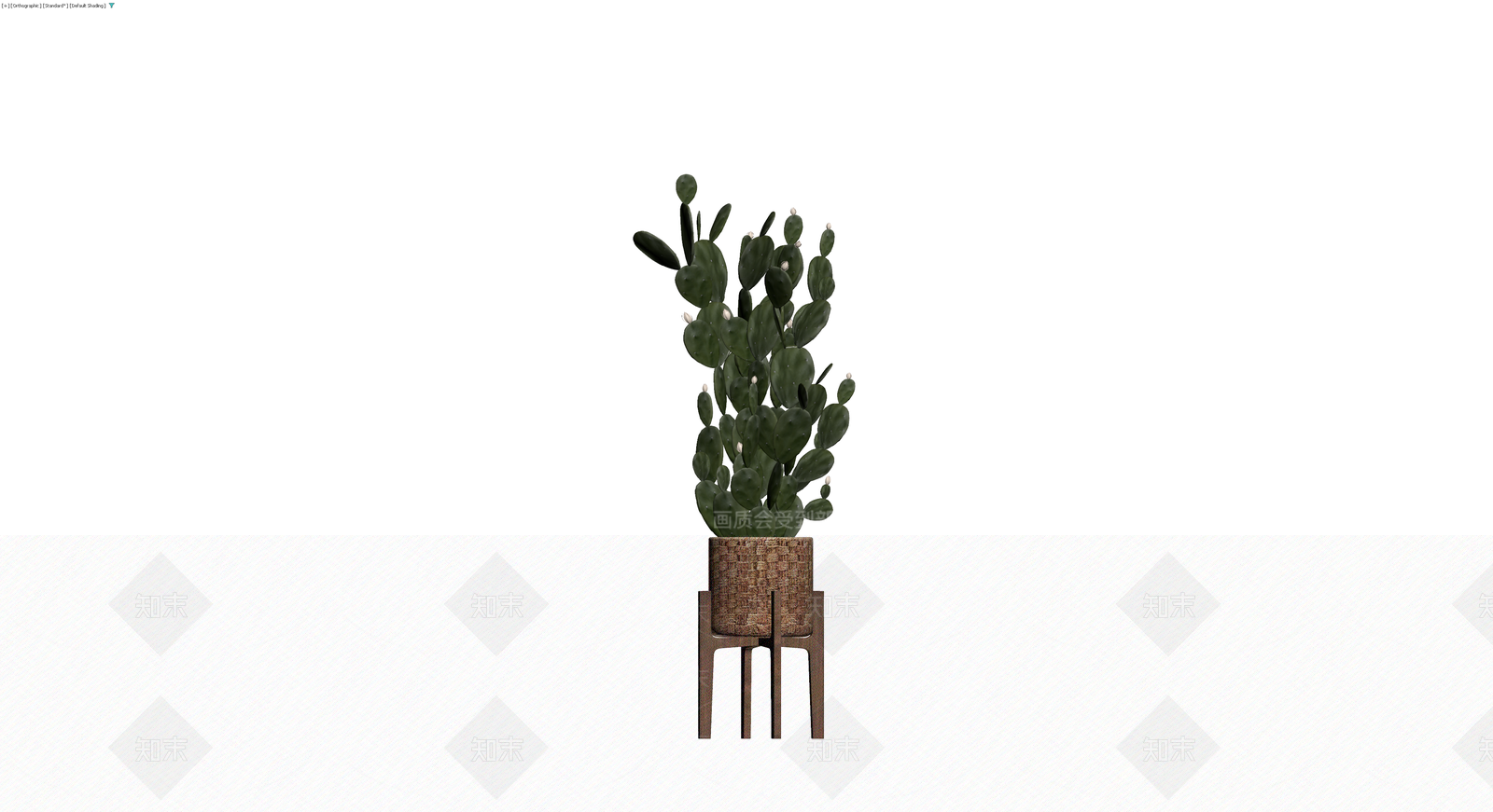 盆栽仙人掌植物3D模型下载【ID:1230396560】