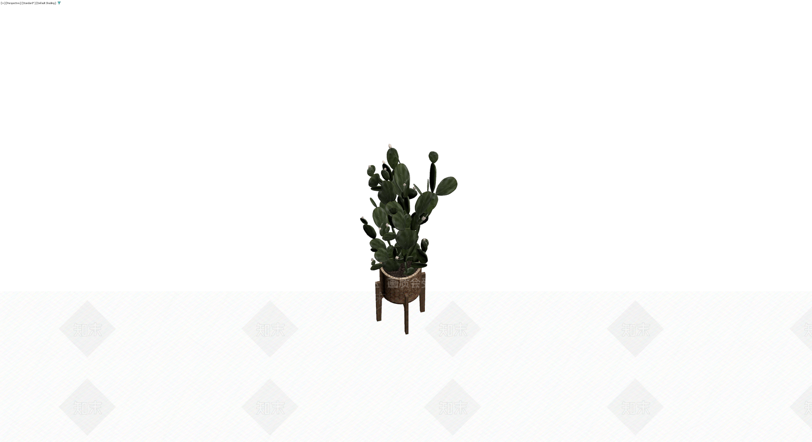 盆栽仙人掌植物3D模型下载【ID:1230396560】