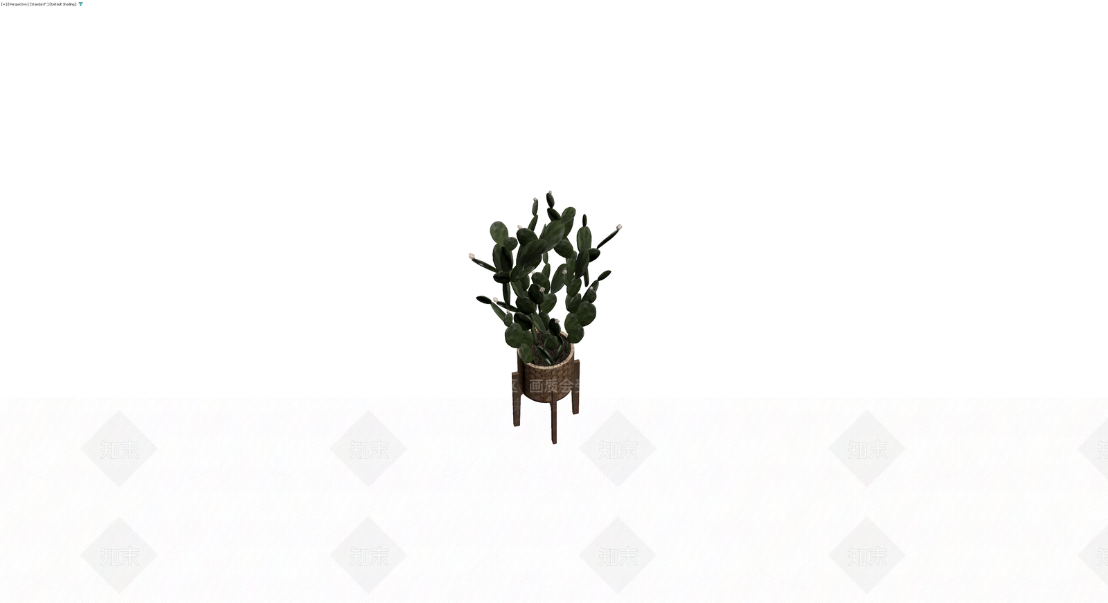 盆栽仙人掌植物3D模型下载【ID:1230396560】