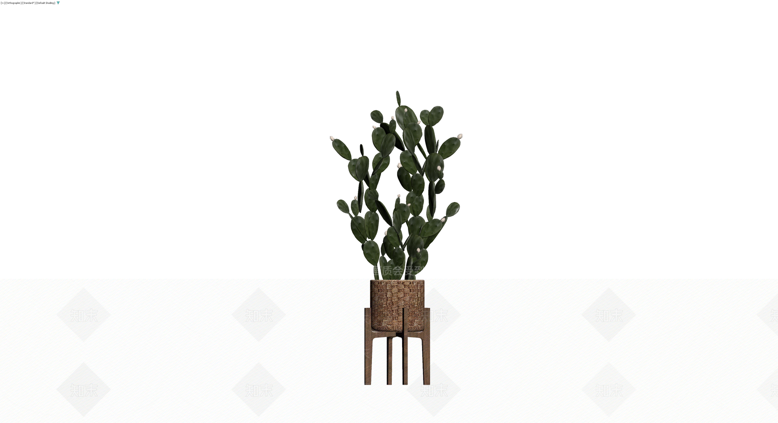 盆栽仙人掌植物3D模型下载【ID:1230396560】