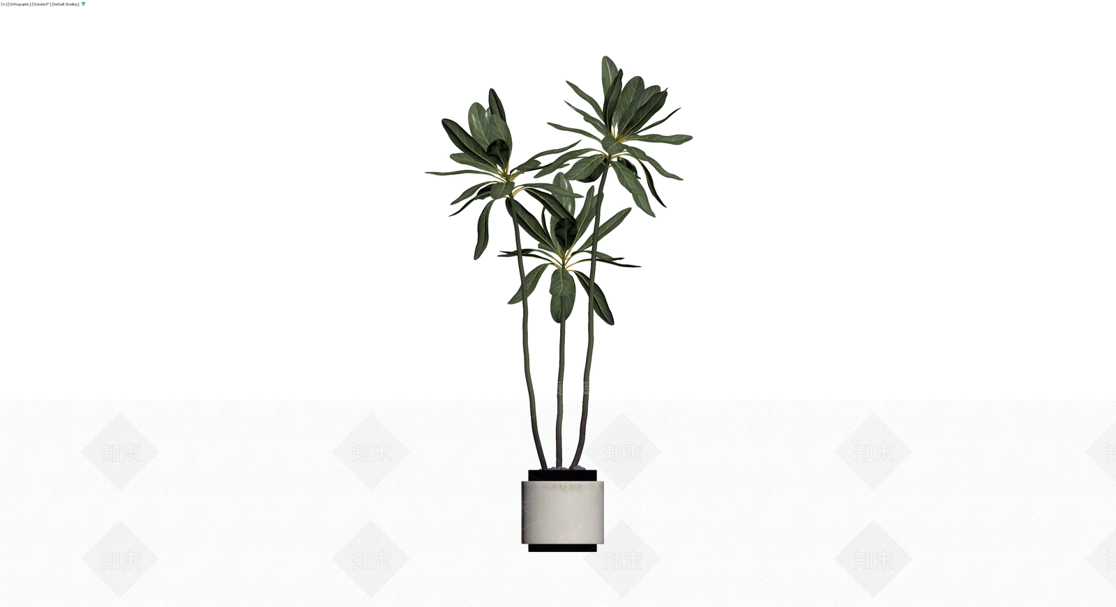 盆栽绿植带盆3D模型下载【ID:1229927379】