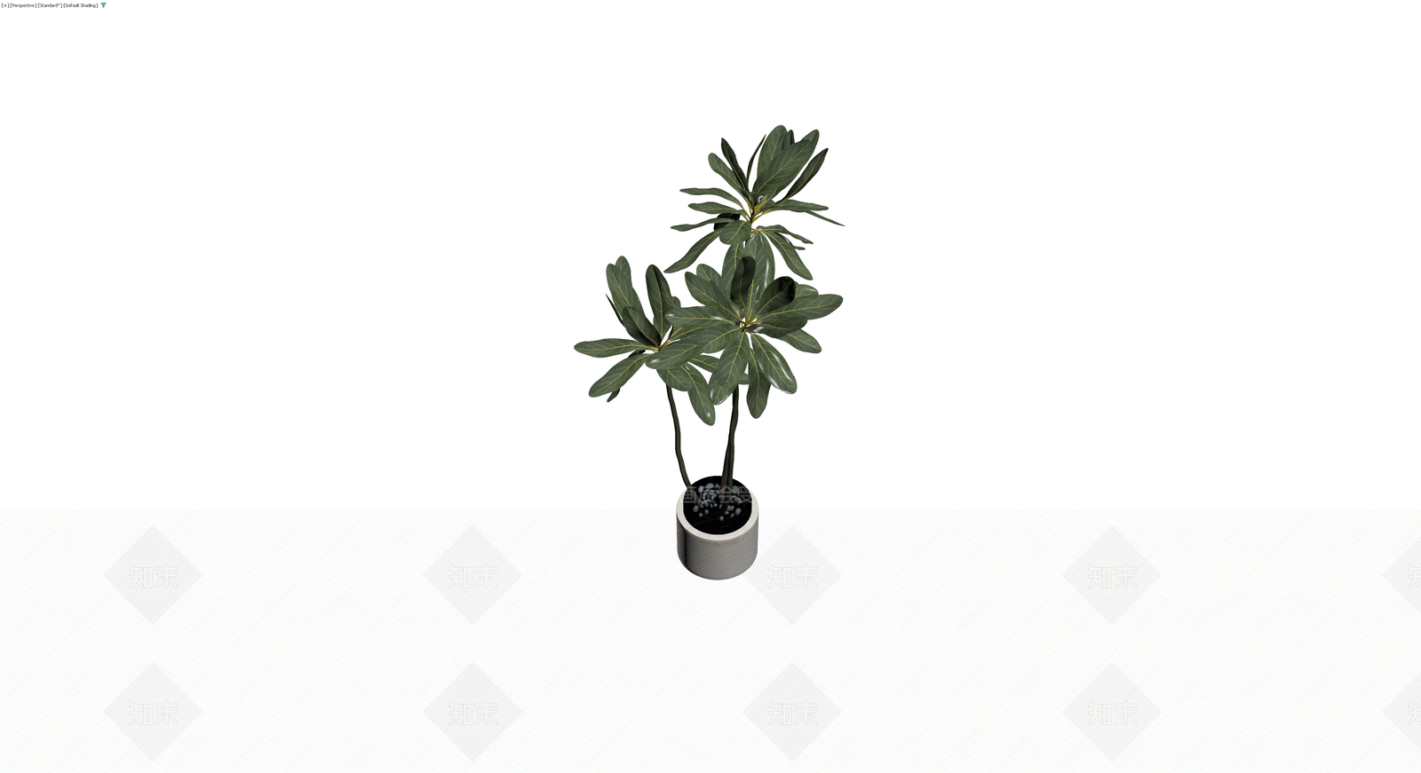 盆栽绿植带盆3D模型下载【ID:1229927379】