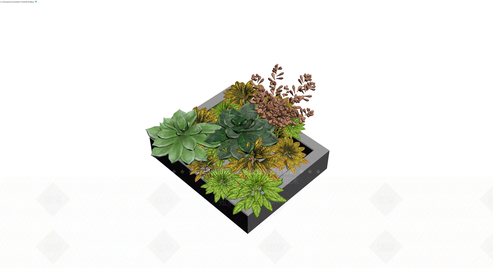 多品种盆栽组合模型3D模型下载【ID:1230315810】