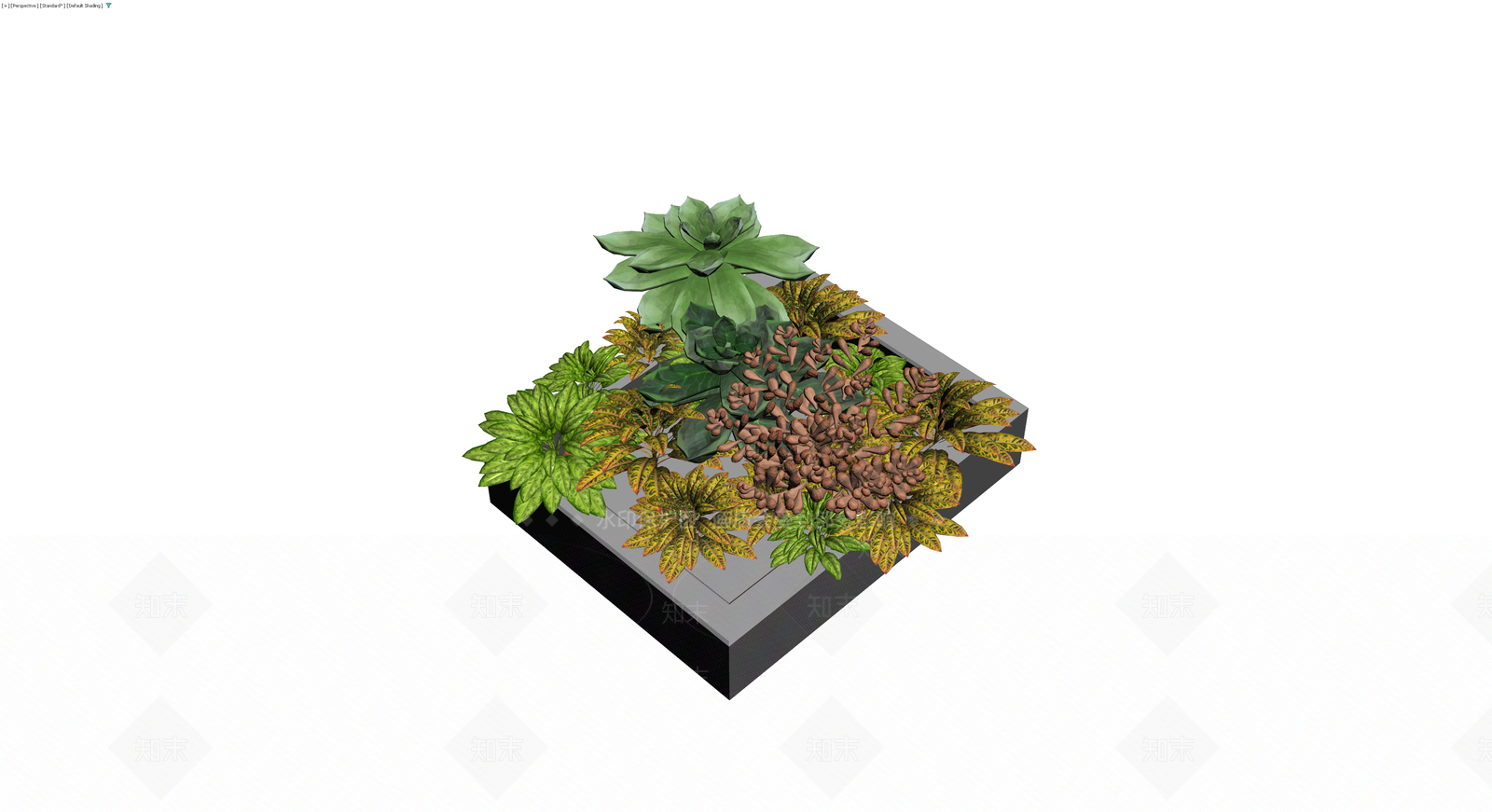 多品种盆栽组合模型3D模型下载【ID:1230315810】