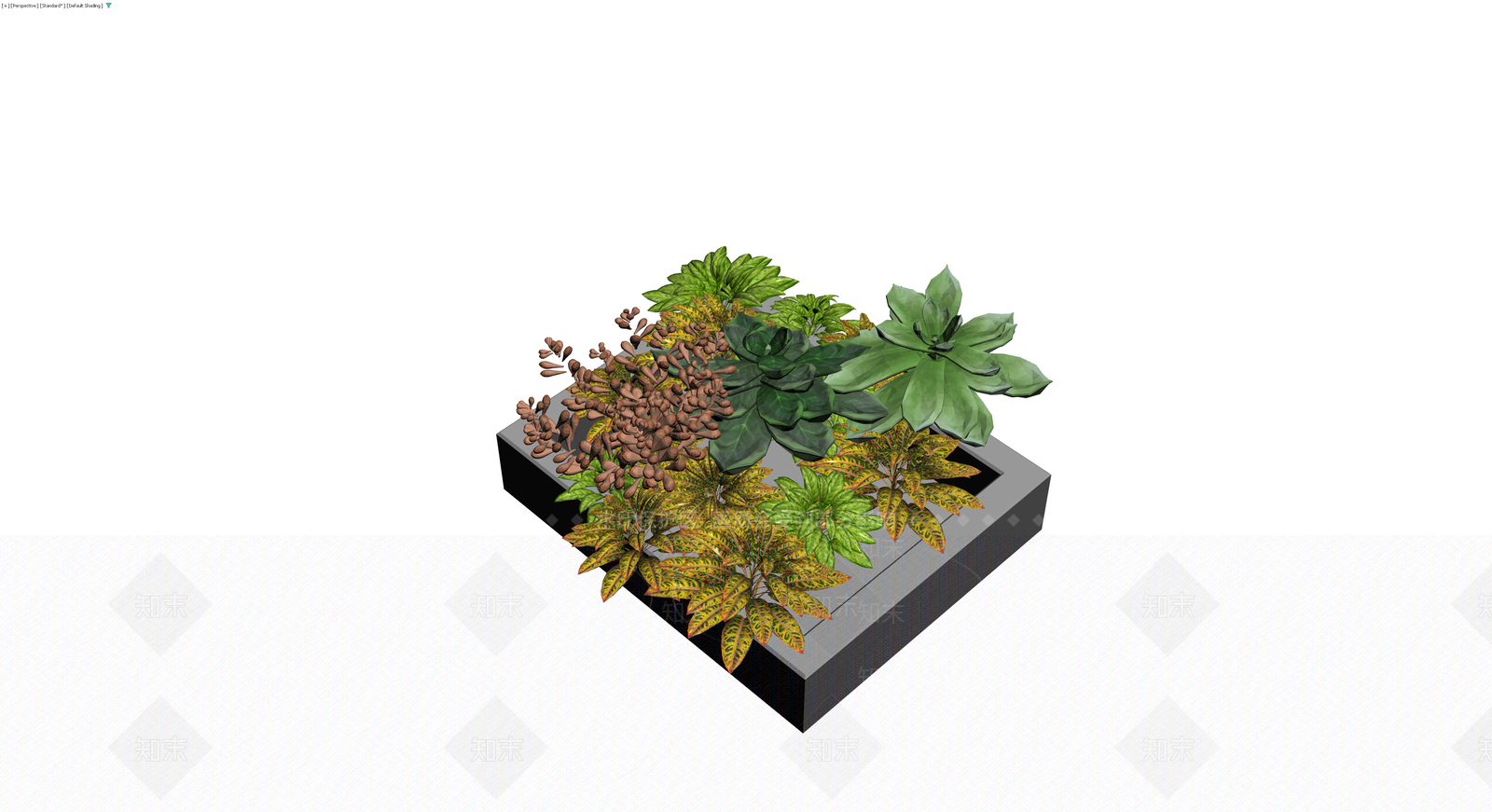 多品种盆栽组合模型3D模型下载【ID:1230315810】