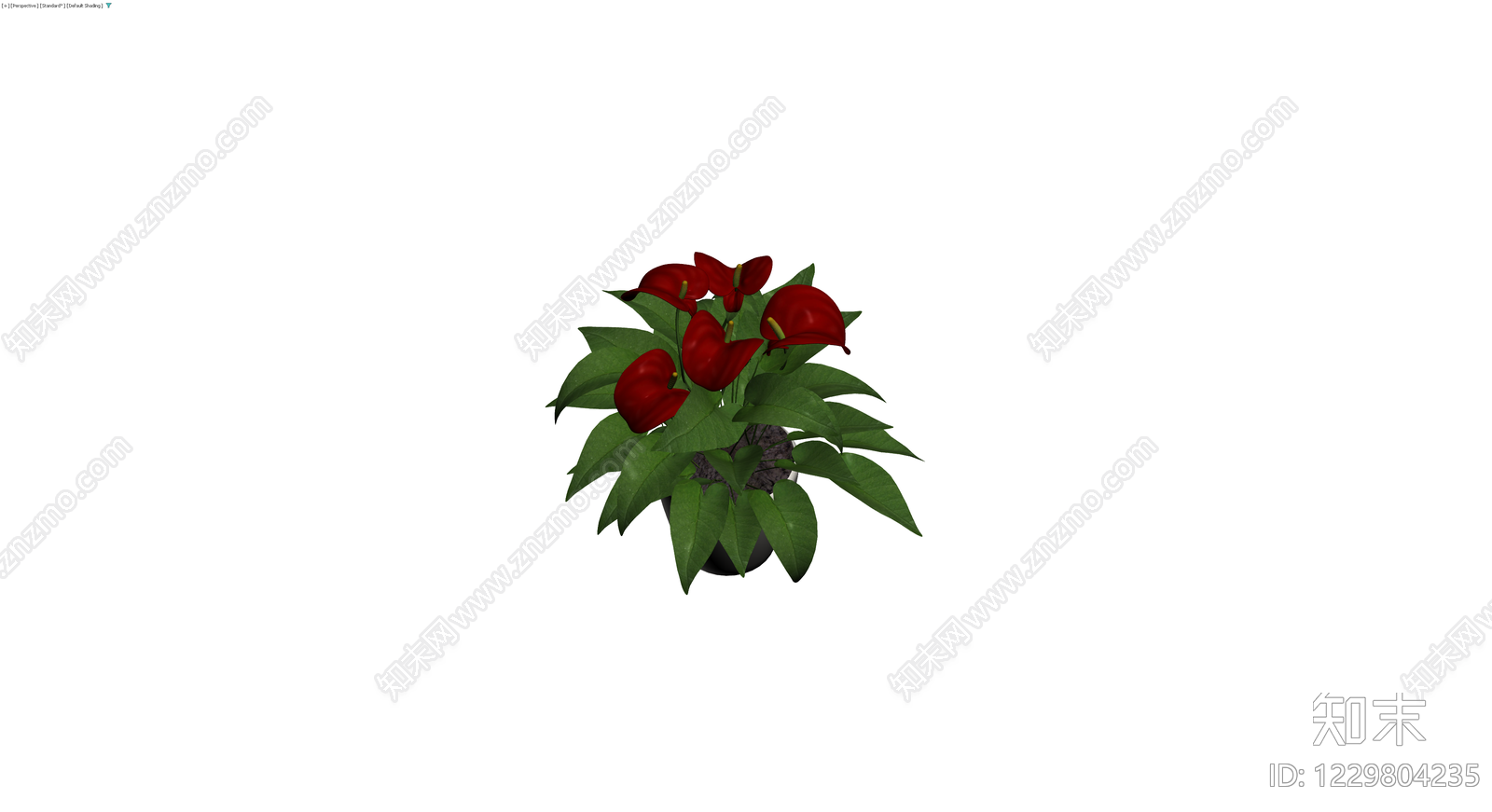红掌盆栽（带盆）3D模型下载【ID:1229804235】
