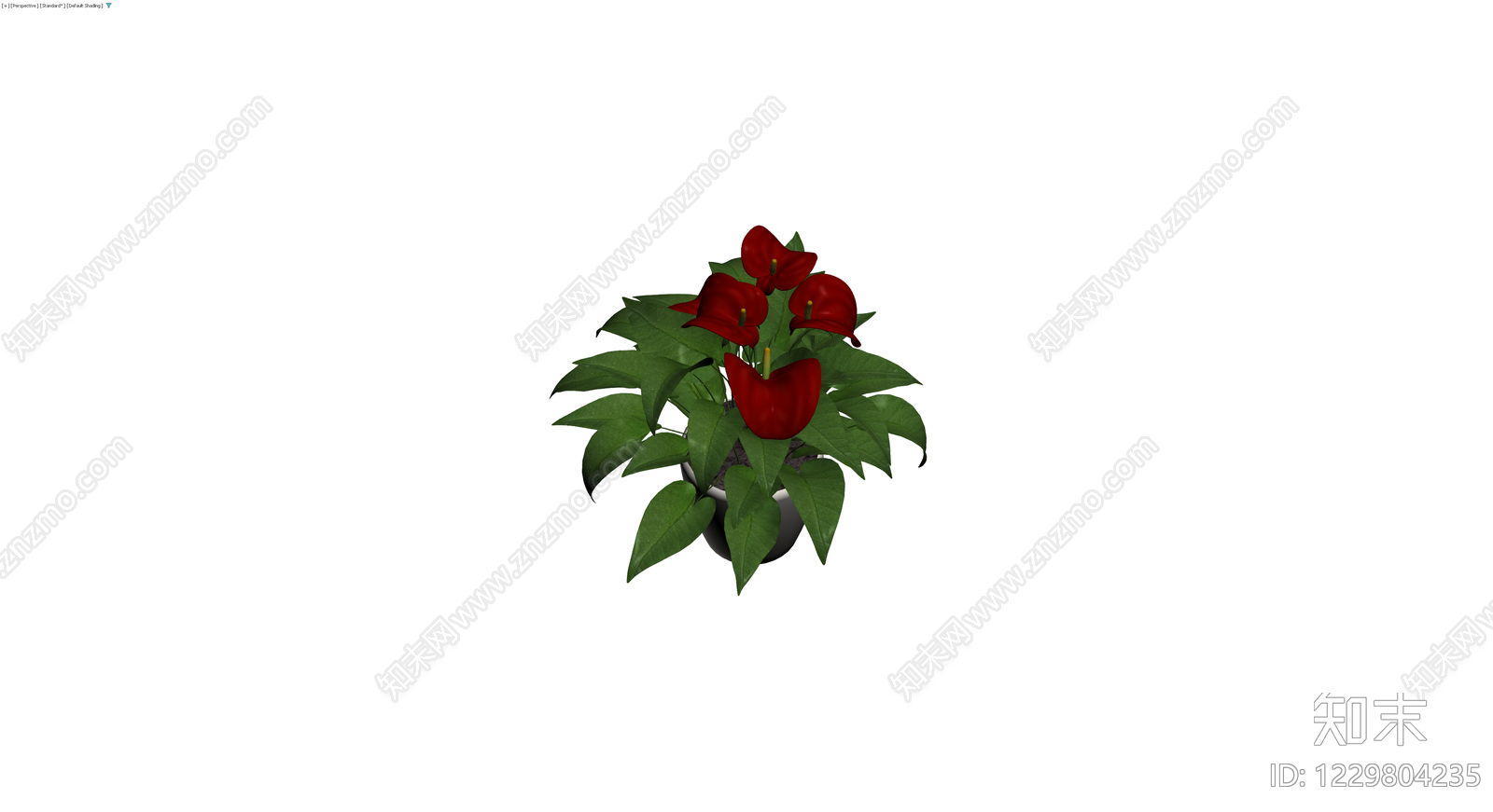 红掌盆栽（带盆）3D模型下载【ID:1229804235】
