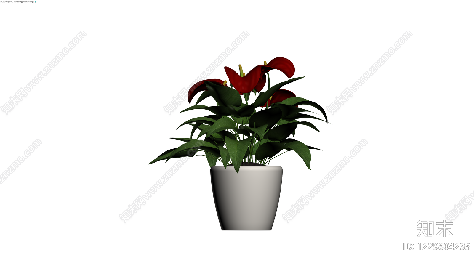 红掌盆栽（带盆）3D模型下载【ID:1229804235】