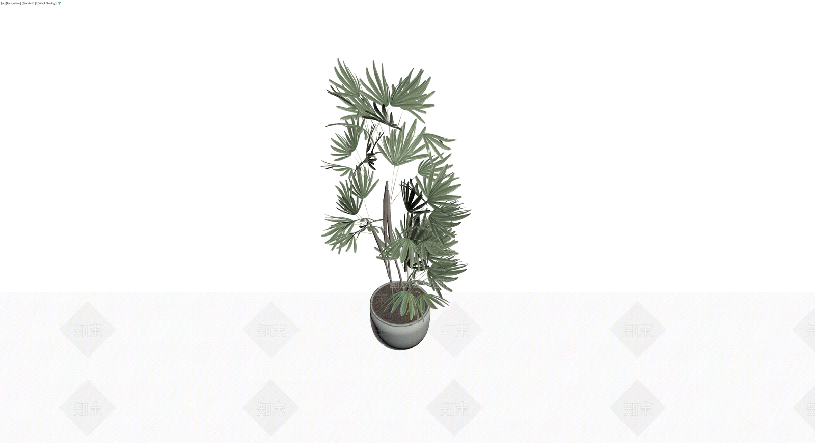 盆栽绿植模型3D模型下载【ID:1230545989】