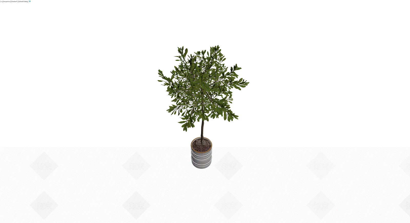 带盆盆栽绿植模型3D模型下载【ID:1230614251】