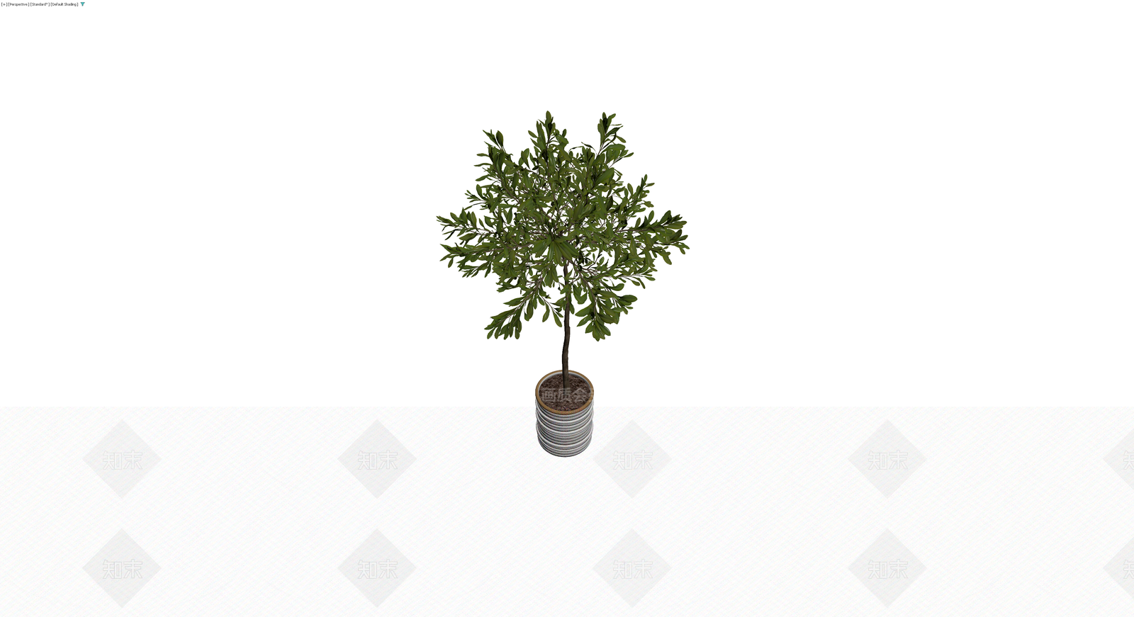 带盆盆栽绿植模型3D模型下载【ID:1230614251】