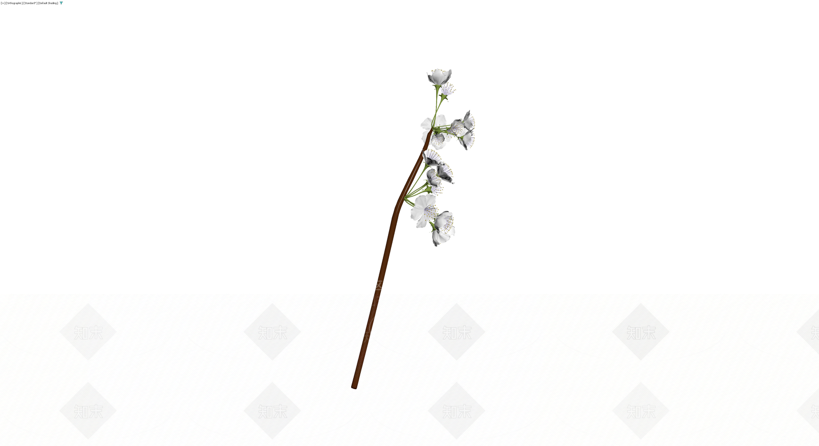 白色樱花树枝模型3D模型下载【ID:1230713534】