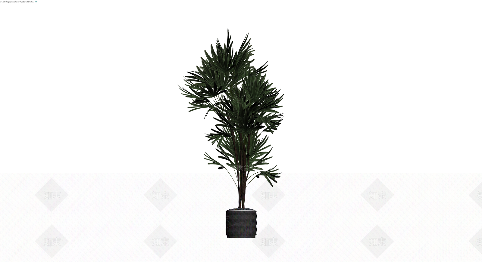 盆栽棕榈植物3D模型下载【ID:1229849311】