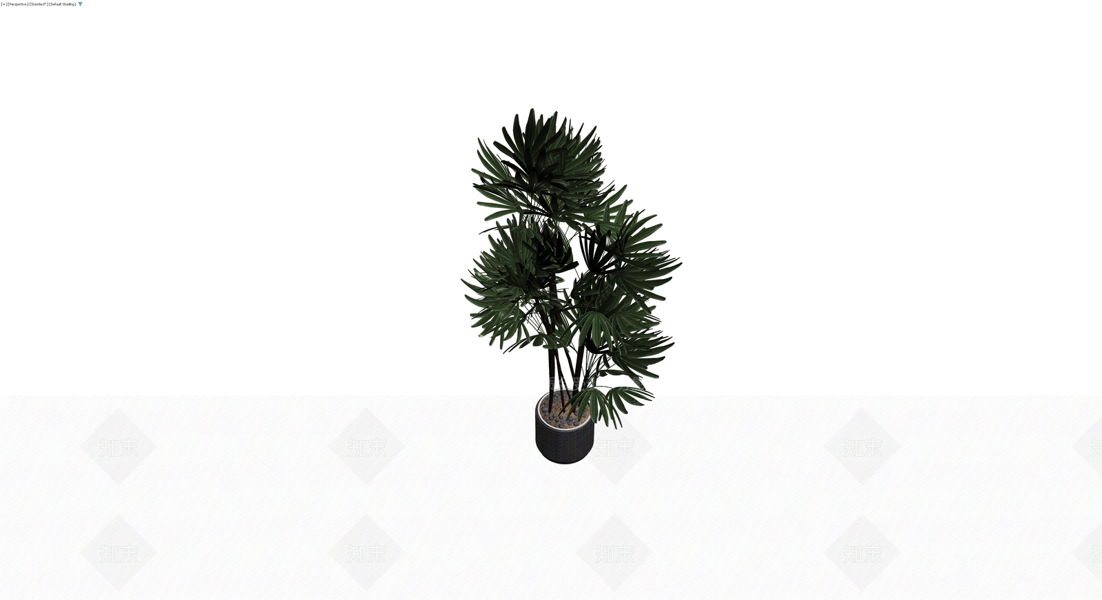 盆栽棕榈植物3D模型下载【ID:1229849311】