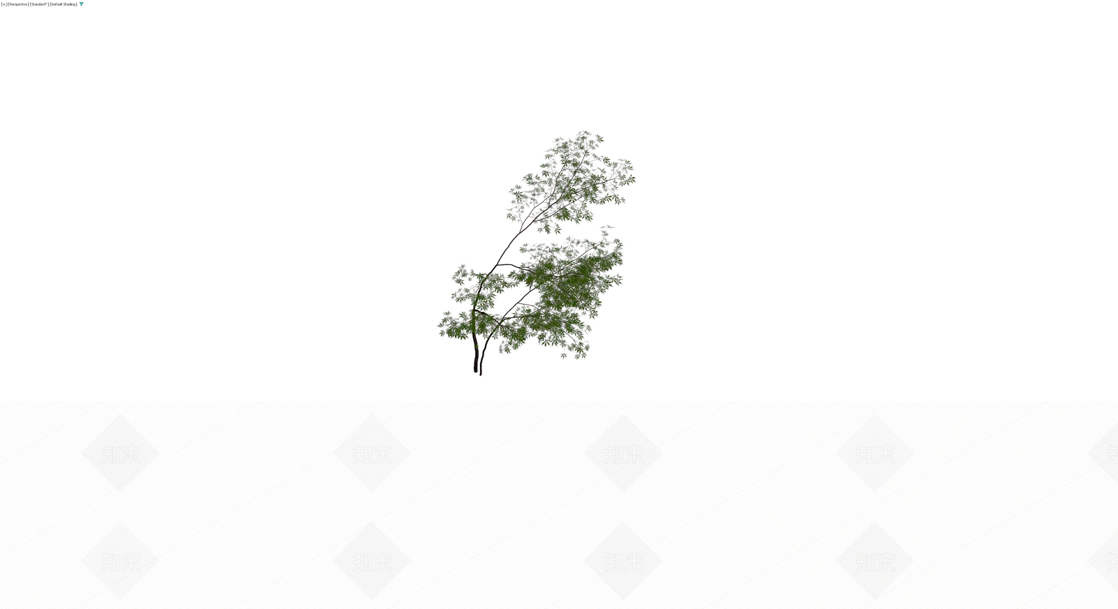 双干细叶乔木3D模型下载【ID:1229640967】