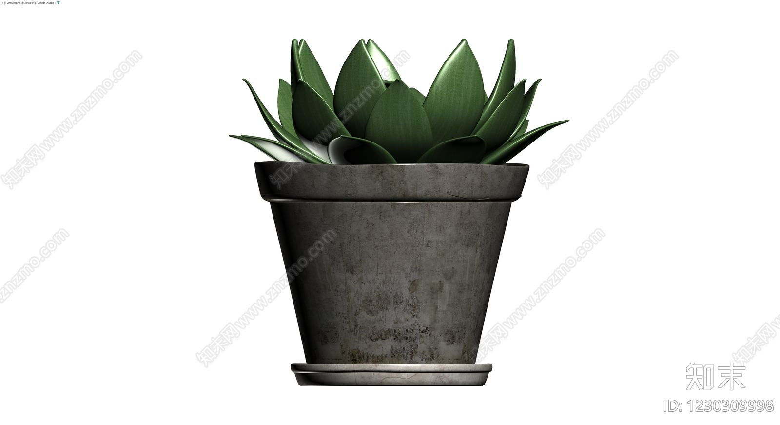 黑色盆栽多肉植物3D模型下载【ID:1230309998】