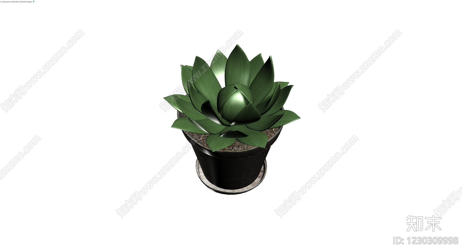 黑色盆栽多肉植物3D模型下载【ID:1230309998】