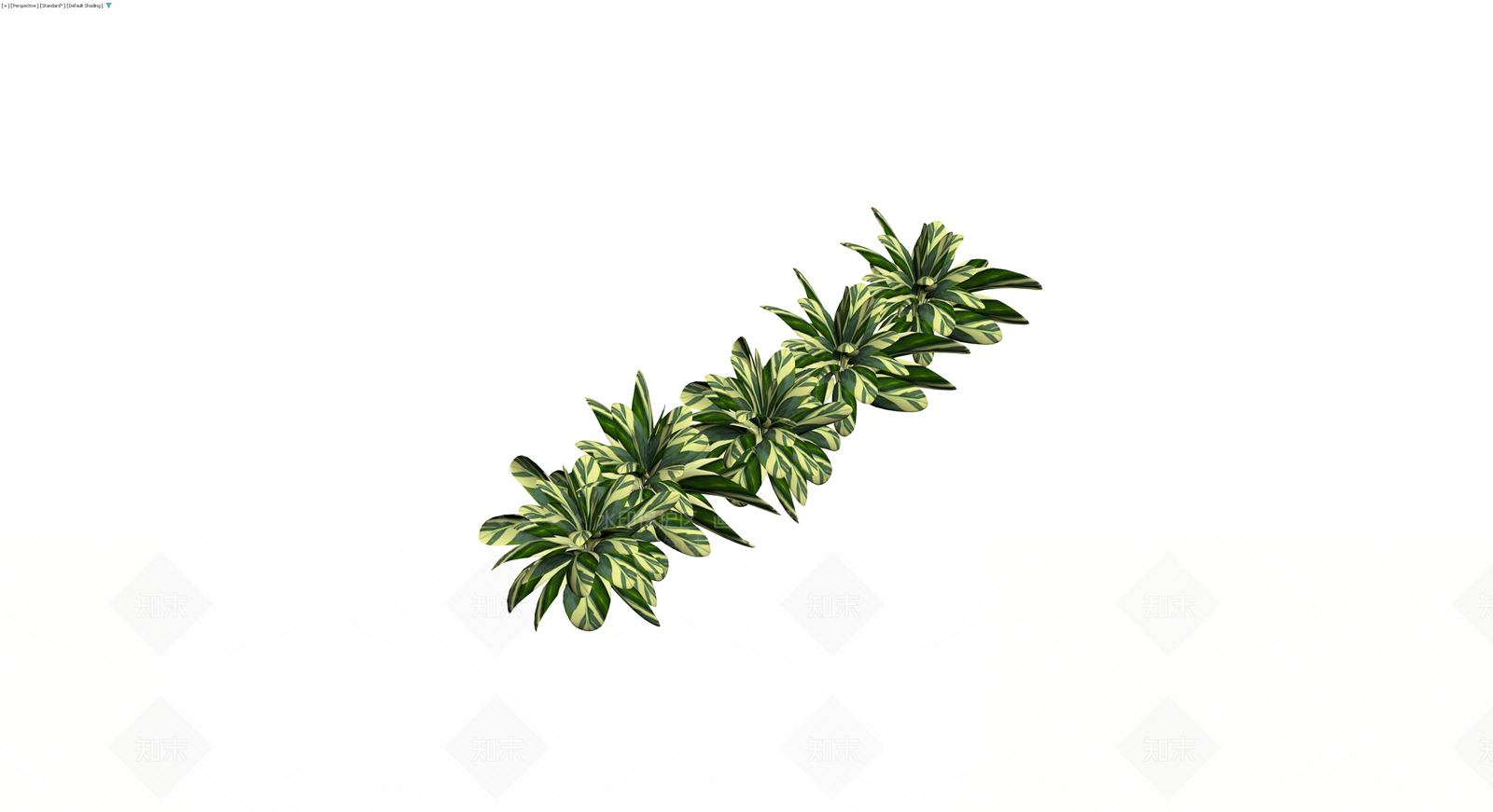绿白条纹灌木植物组3D模型下载【ID:1230143178】
