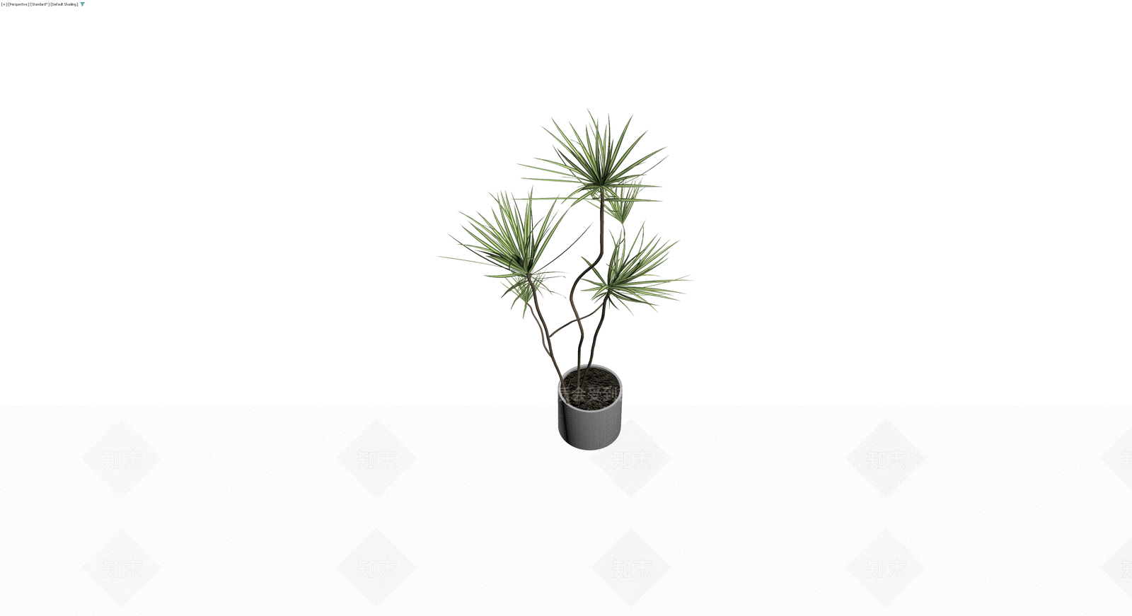 盆栽龙血树模型3D模型下载【ID:1230736890】