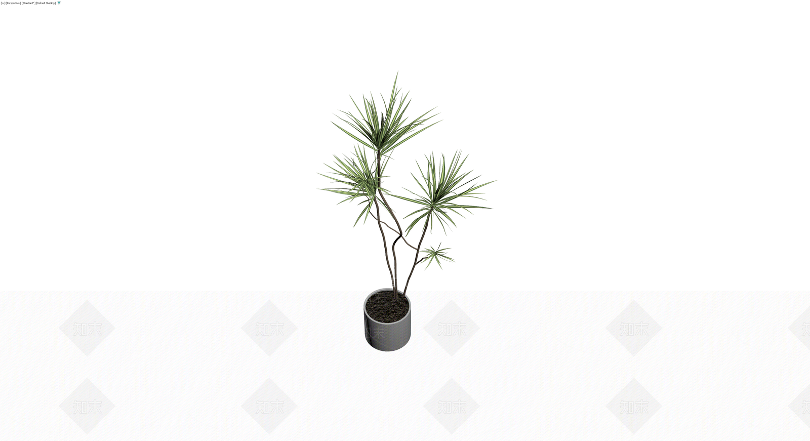 盆栽龙血树模型3D模型下载【ID:1230736890】